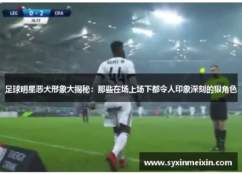 足球明星恶犬形象大揭秘：那些在场上场下都令人印象深刻的狠角色