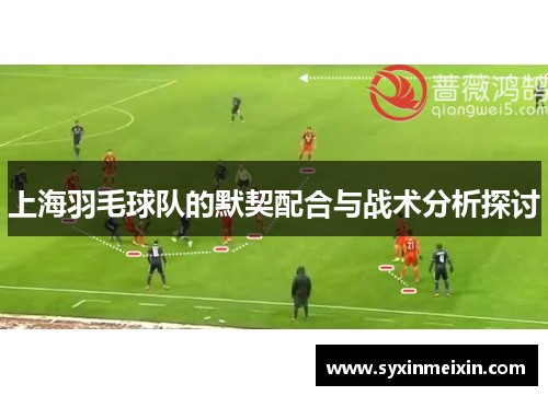 上海羽毛球队的默契配合与战术分析探讨