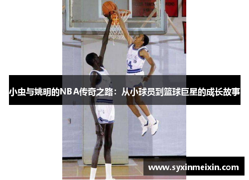 小虫与姚明的NBA传奇之路：从小球员到篮球巨星的成长故事